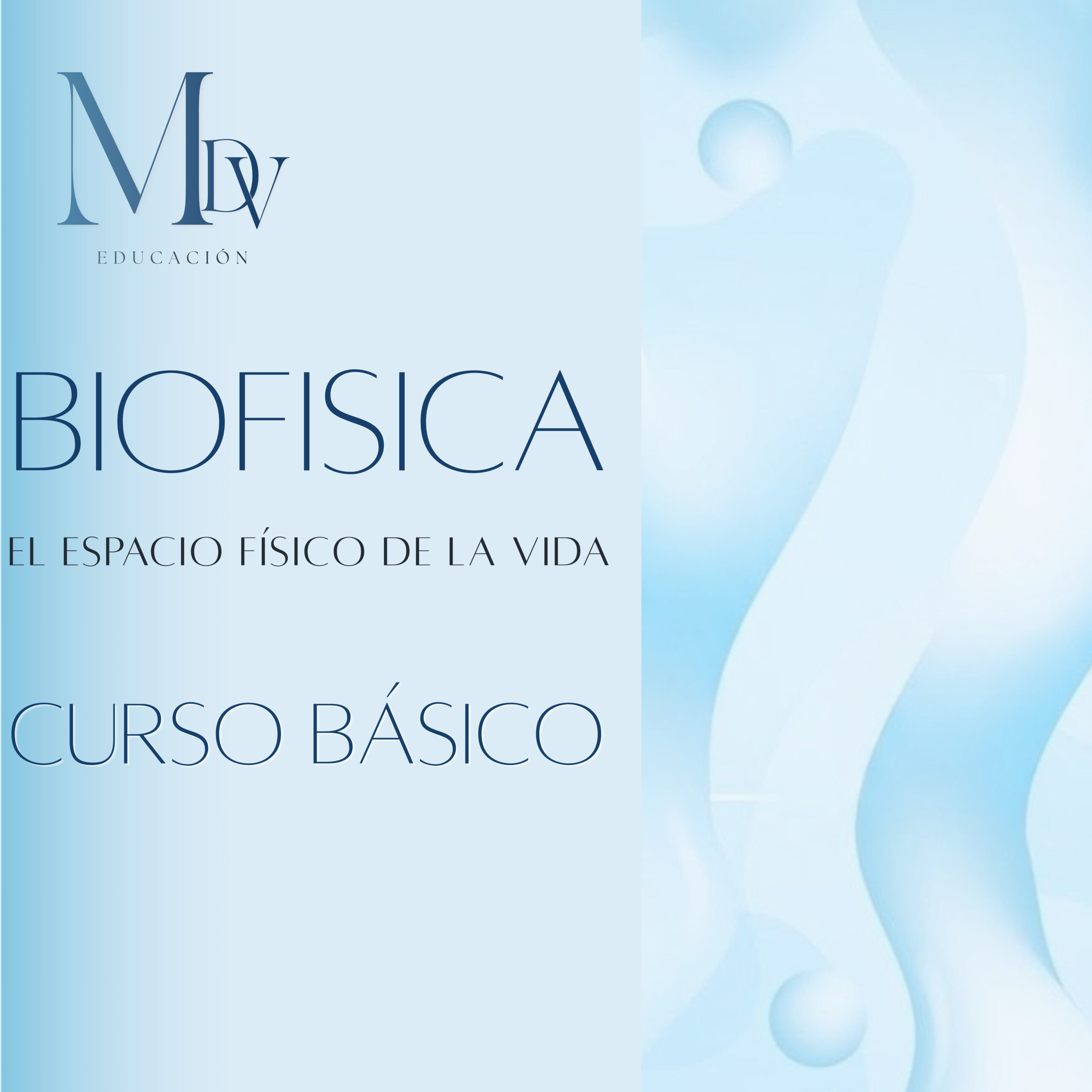 Imágenes para web curso biofísica básico (1)